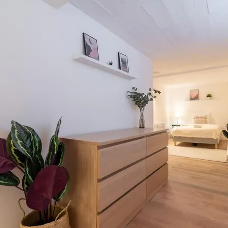 Apartment Centre - Beautiful With Garden !